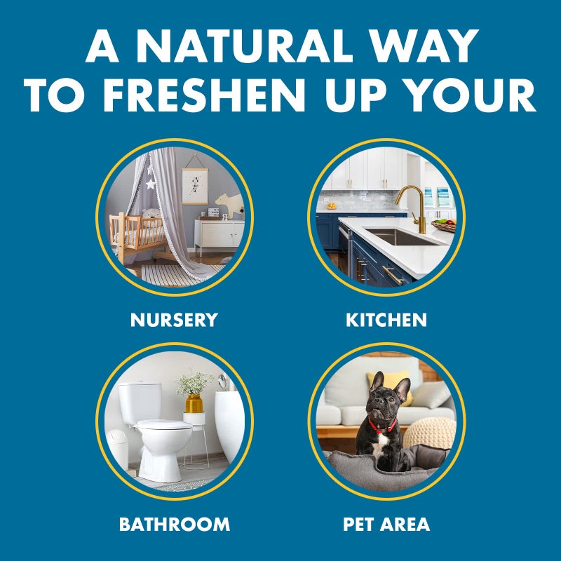 Gonzo Natural Magic Odor Air-Magnet with Activated Charcoal, Odor Eliminator, 14 Oz - Image 5